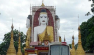 暑期—新马水漾年花