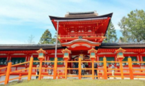 邂逅盛夏本州乐园 8 日游