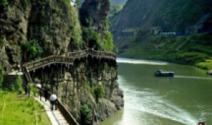 峨乐青都-成都、乐山、峨眉山礼佛、青城山、都江堰双动五日